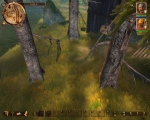 Screenshots Drakensang: L'Oeil Noir Ces arbres ont l'air mauvais... non ?