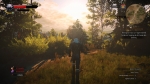 Screenshots The Witcher 3: Wild Hunt 