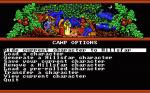 Screenshots Advanced Dungeons & Dragons: Hillsfar 