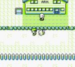 Screenshots Pokémon Jaune 