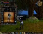 Screenshots Dungeon Lords MMXII 