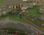 Screenshots RuneScape 