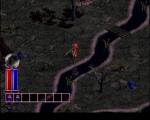 Screenshots Diablo Nouveauté PS : le reflet de votre personnage dans l'eau
